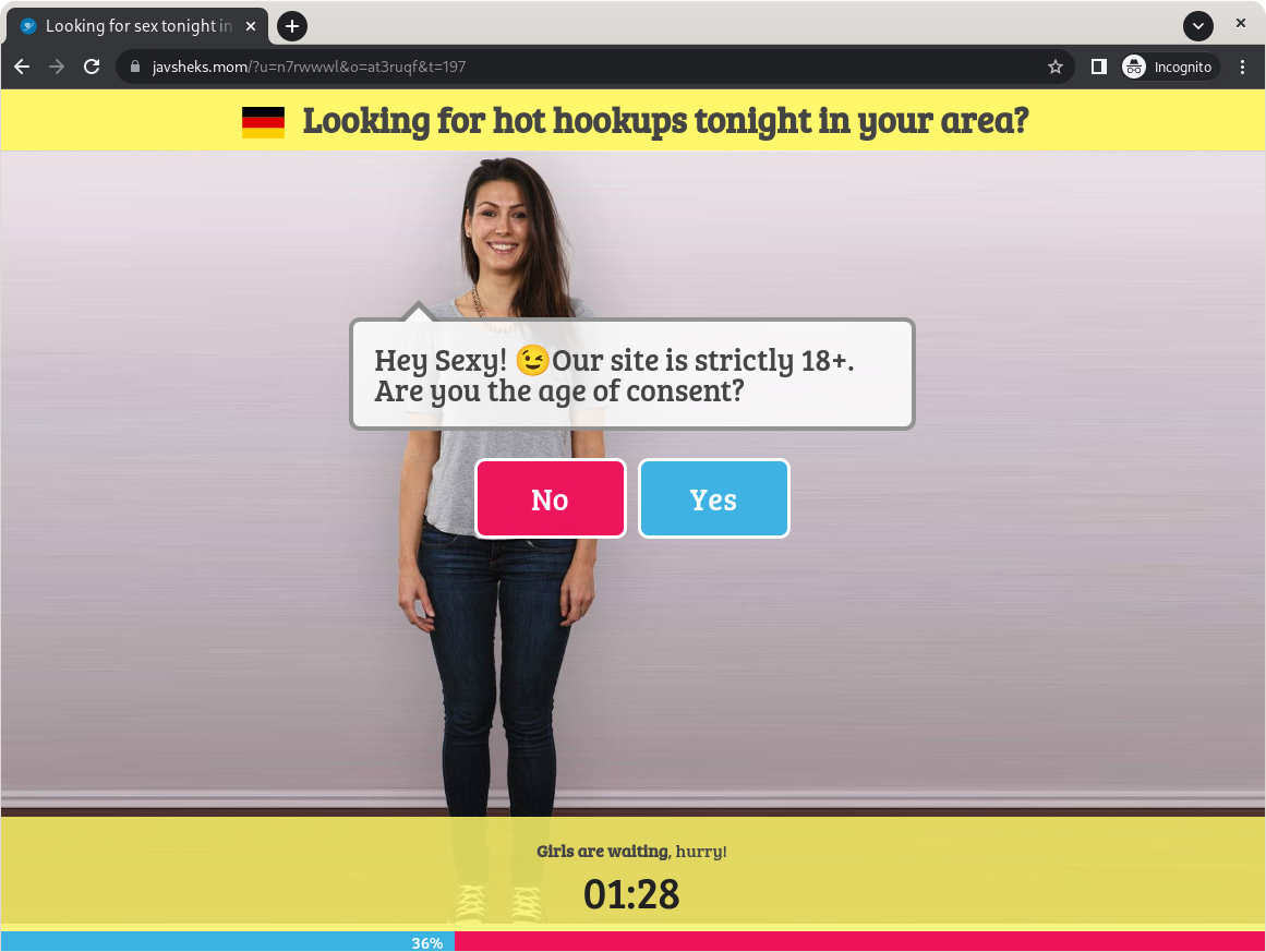 Ein Screenshot eienr Betrugsseite auf der angebliche Sextreffs angeboten werden.